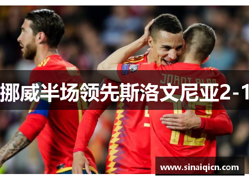 挪威半场领先斯洛文尼亚2-1 挪威半场领先斯洛文尼亚2-1